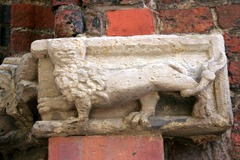 Killikus&reg; Fotographie